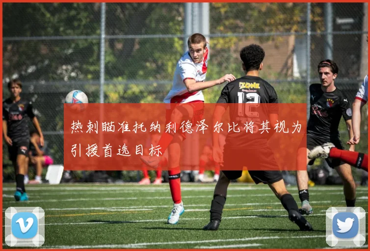 热刺瞄准托纳利德泽尔比将其视为引援首选目标